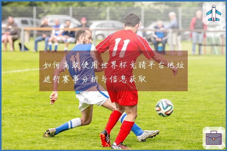 如何高效使用世界杯竞猜平台地址进行赛事分析与信息获取