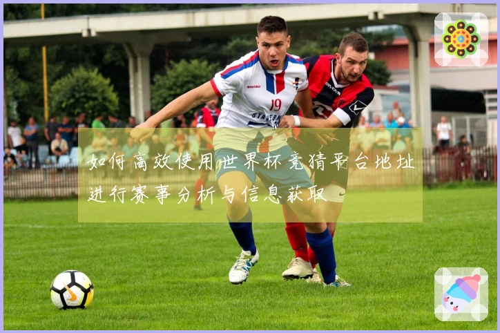 如何高效使用世界杯竞猜平台地址进行赛事分析与信息获取