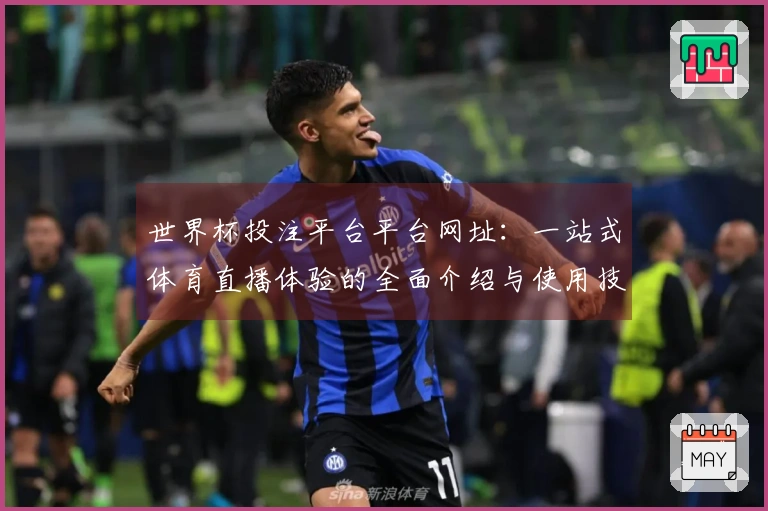 世界杯投注平台平台网址：一站式体育直播体验的全面介绍与使用技巧