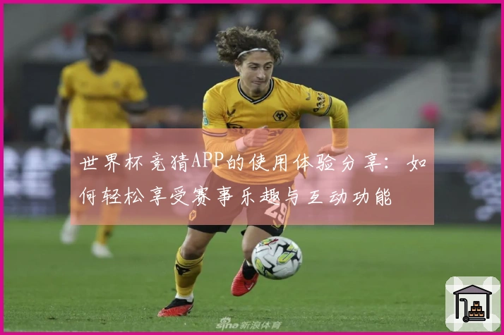 世界杯竞猜APP的使用体验分享:如何轻松享受赛事乐趣与互动功能