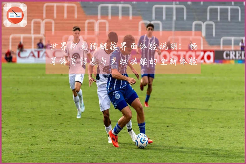 世界杯竞猜链接界面体验说明：畅享体育信息与互动功能的全新体验