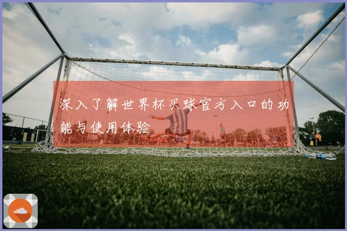 深入了解世界杯买球官方入口的功能与使用体验